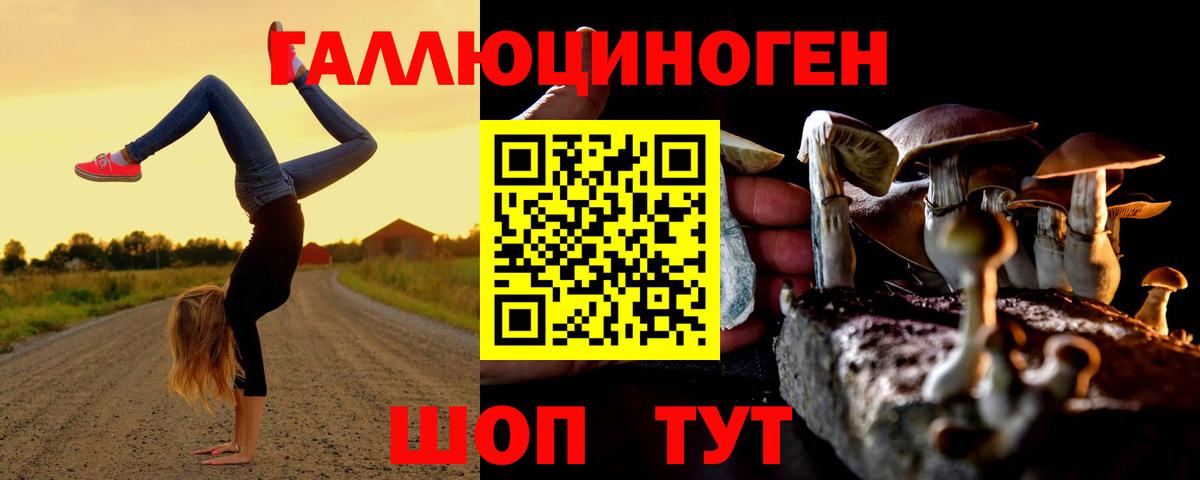 Галлюциногенные грибы мухоморы Карасук