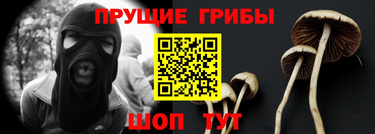 Псилоцибиновые грибы Psilocybine cubensis  Вход с VPN  где купить наркотик  Карасук 